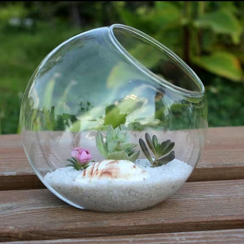 Angle Cut Round Glass succulent Terrarium Jar