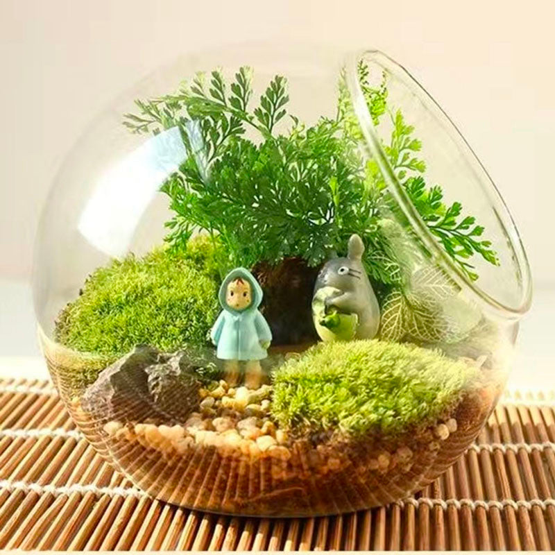 Angle Cut Round Glass succulent Terrarium Jar