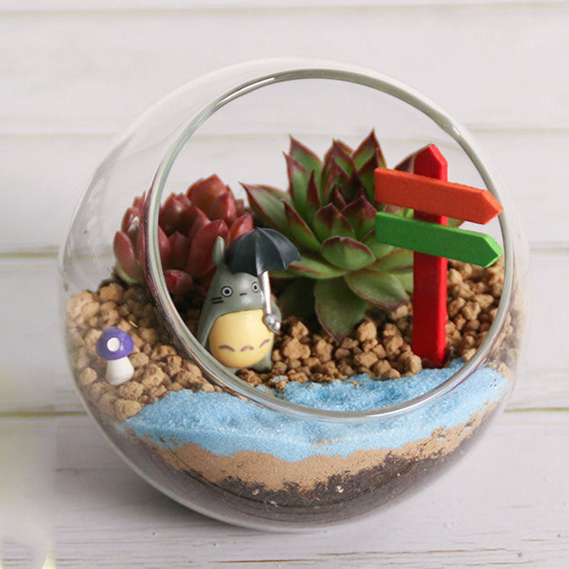 Angle Cut Round Glass succulent Terrarium Jar