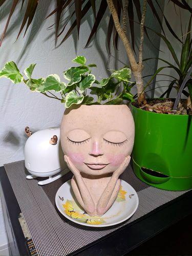 Head Face Planters Painted Plants Flower Pots Succulents Resin Planter Face Pot With Hole on sale - SOUISEE